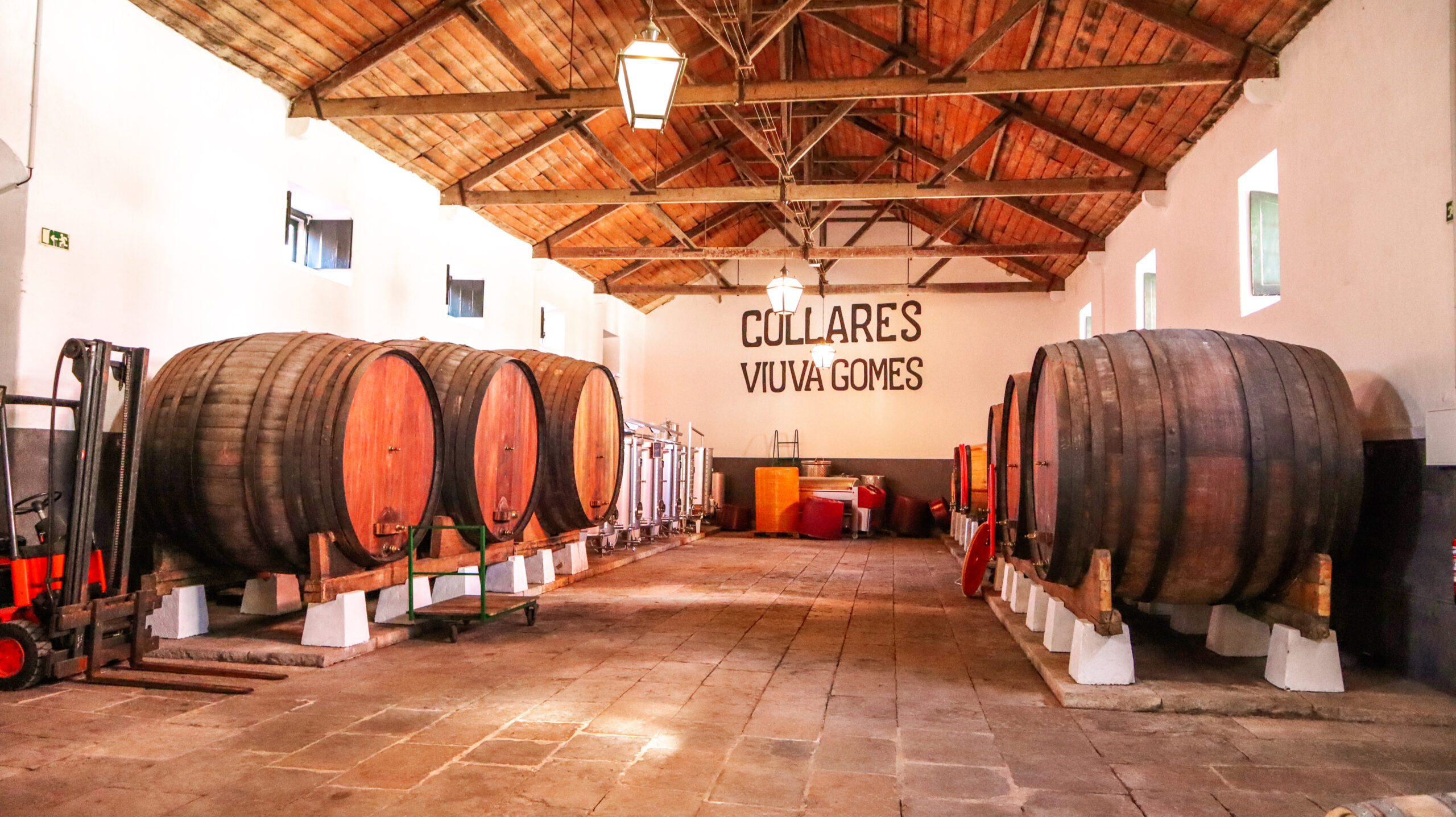 Os vinhos de Colares, de Portugal, e suas vinhas que sobreviveram a Filoxera