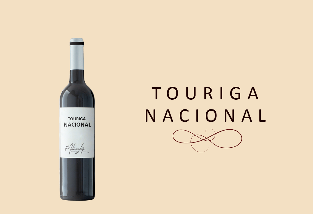Touriga Nacional – A uva tinta mais famosa dos vinhos portugueses.