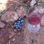 Metanol no vinho? Sim — entenda o que importa