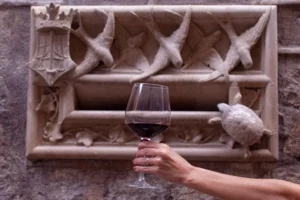Cultura do vinho